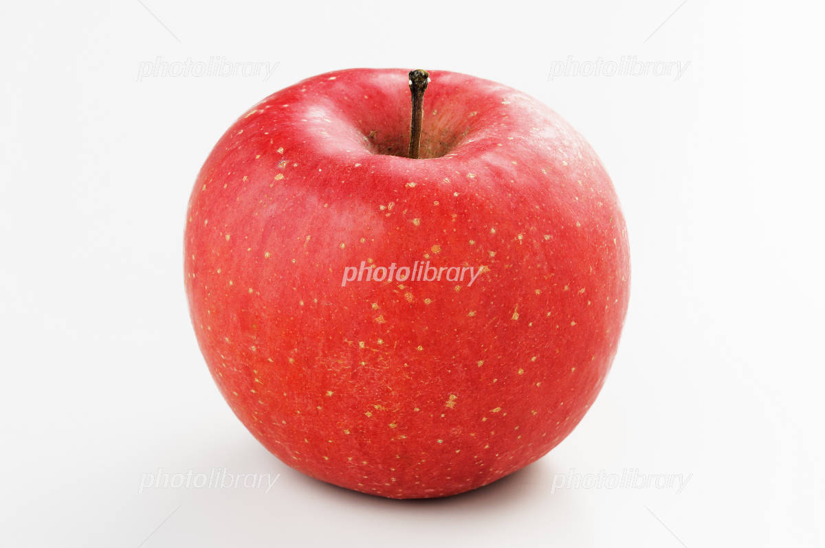 りんごのイラスト01フリー素材 - GreenStock40