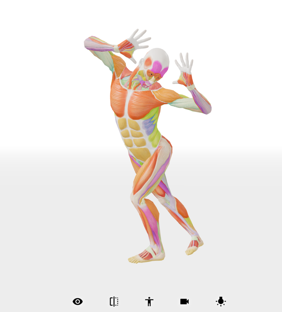 イラストの練習・参考に！ポーズ集サイトまとめあにめてぃあ