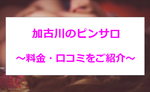 プッシーキャット - 加古川/ピンサロ｜駅ちか！人気ランキング
