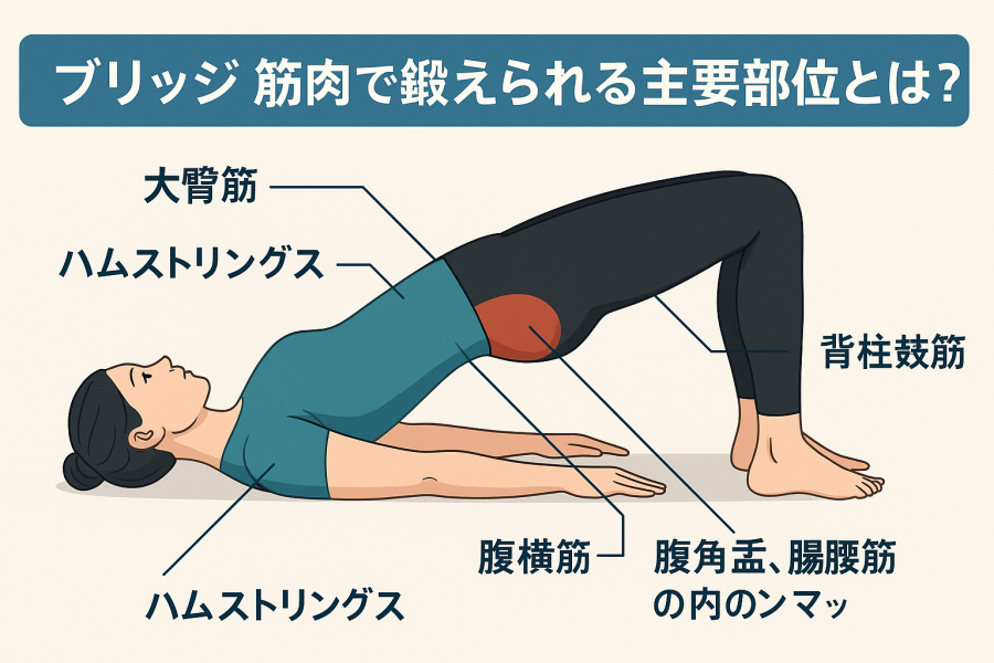 Amazon.co.jp: kumaforest バイク用 アルミ ラダー アルミブリッジ 長さ216cm*幅28.5cm アルミプレート強度強化耐荷重340kg 折り畳み式 アルミラダーレール アルミラダー 頑丈 サブベルト付き : 車＆バイク