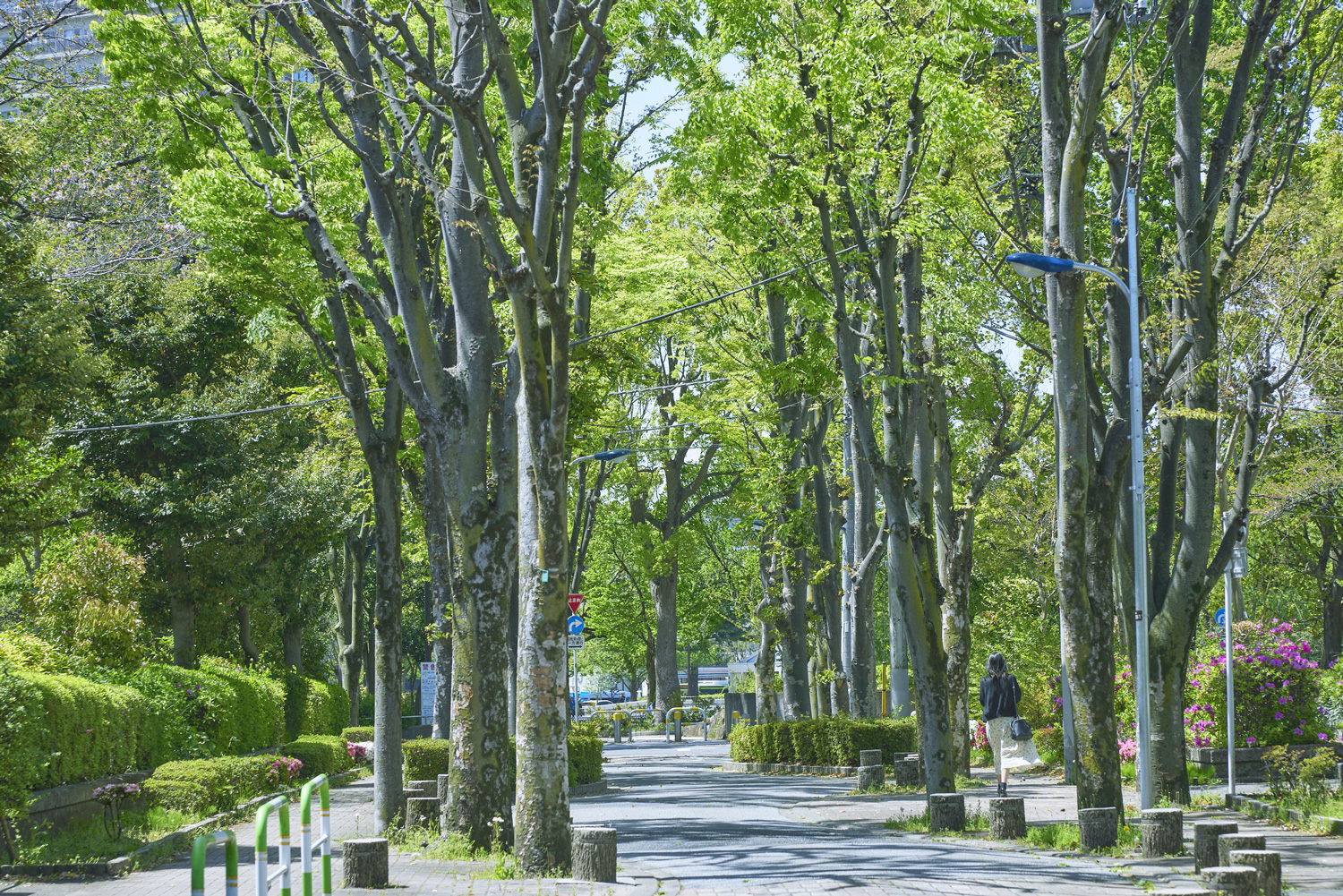 浮間舟渡駅で個室タイプ | シェアハウス検索サイト『シェアシェア』