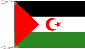 白い星と月が赤い背景にあるトルコ国旗 - アイデンティティーのストックフォトや画像を多数ご用意 - アイデンティティー, アジア大陸, イスタンブール- iStock