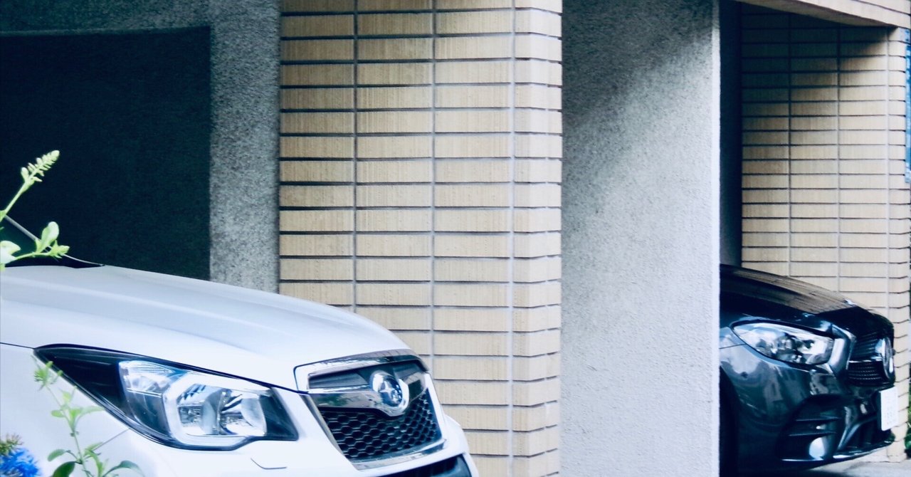 顔観察・散歩誰かの散歩マガジン サンポ