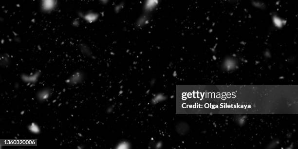 405,500点を超えるクリスマスツリーのイラスト素材、ロイヤリティフリーのベクター素材グラフィックスとクリップアート - iStockサンタクロース, クリスマスの飾り, もみの木