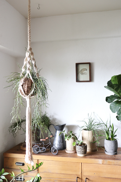 プラントハンガーの作り方！初心者におすすめの100均アイテムも暮らしオリーブオイルをひとまわし