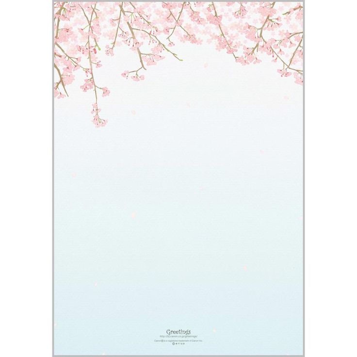 きれいな桜の花とふんわりピンク色楕円フレーム飾り枠イラスト無料イラスト かわいいフリー素材集 フレームぽけっと