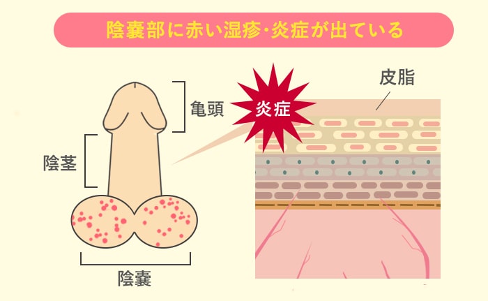 た行 | 生活者の皆様 | ゼリア新薬工業