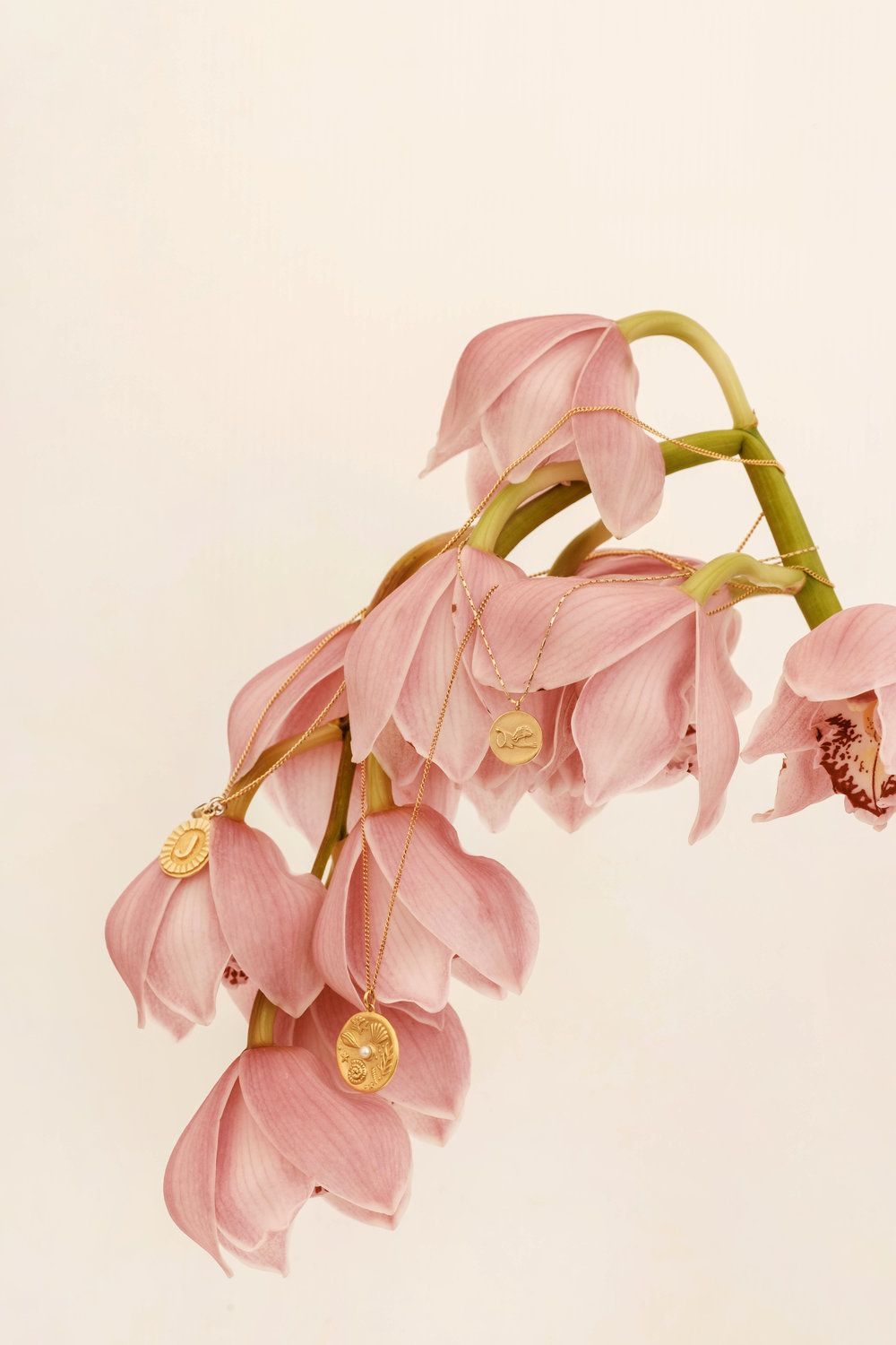 あこイラスト淡色女子手描きフラワーくすみカラーアイコン画像フリーアイコン花イラストloveisloveInstagram