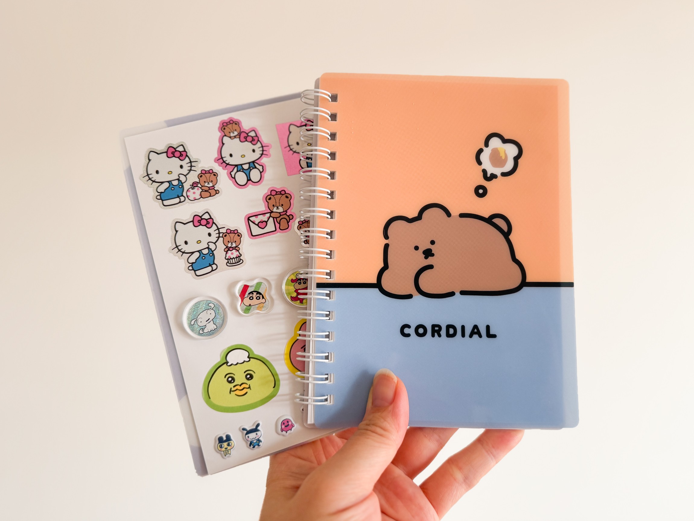 シール帳作りの楽しさとセリアの商品紹介TikTok