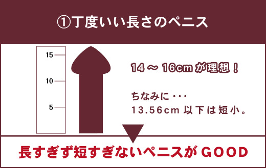 女性はペニスの長さが13.5で太さ3.3くらいが理想で1番気持ちいいんです- その他（性の悩み） |