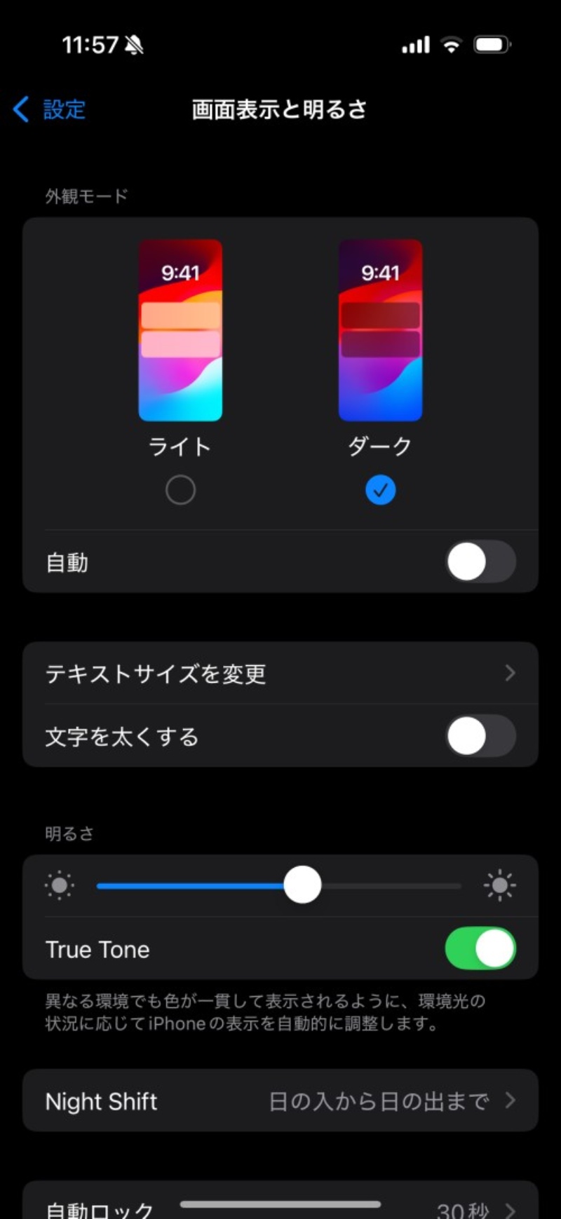 IOS アプリアイコン美しい iPhone ホーム画面テーマ - 黒のアプリアイコンiOS 用 110 個の白黒アプリアイコンアプリカバーアイコンバンドル - Etsy 日本