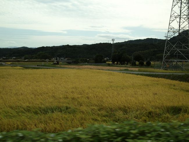 森の香 100坪庭付き洋館の一棟貸し -