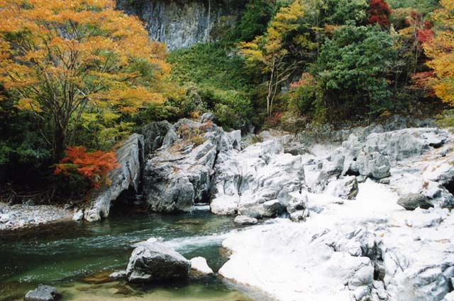 男木島（香川県、伝説の島で水仙巡り） | 世界日本の景色