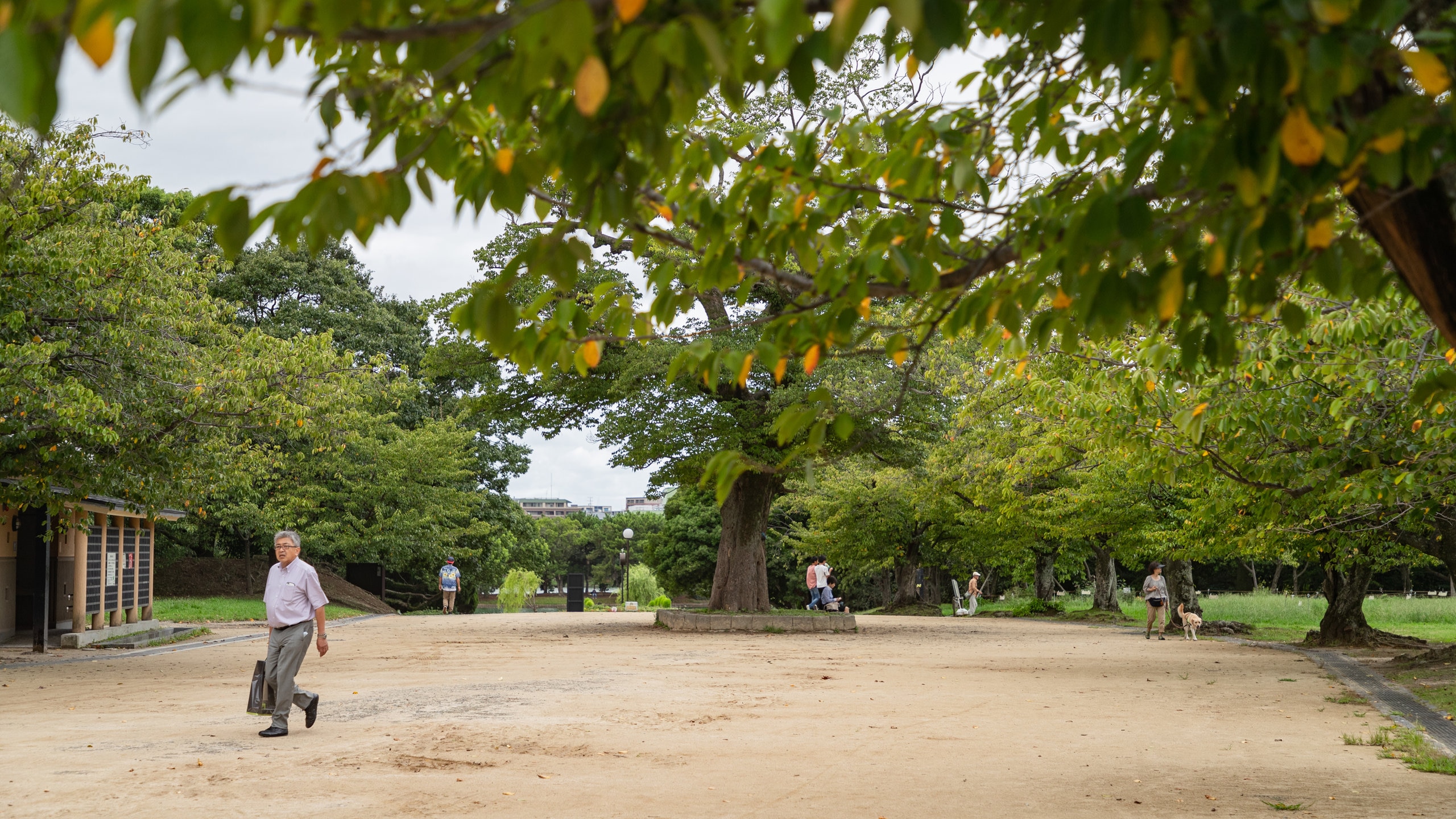 アルテミス大濠公園 | 博多・天神（福岡）の賃貸住宅を探すならアイル賃貸-福岡