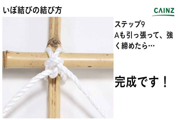 Amazon.co.jp: TAIKOH くりばり 垣根あみ針 シュロ縄針 直 : ホビ