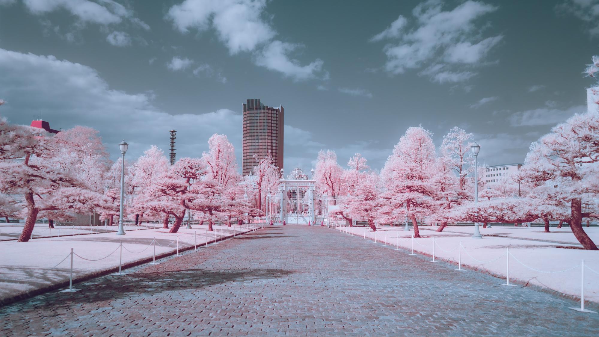 赤外線写真 目には見えない光で写真が撮れる！？ R72フィルター