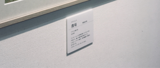 展示キャプションの作り方、作品情報の書き方、貼る位置などを解説絵画をたしなむ