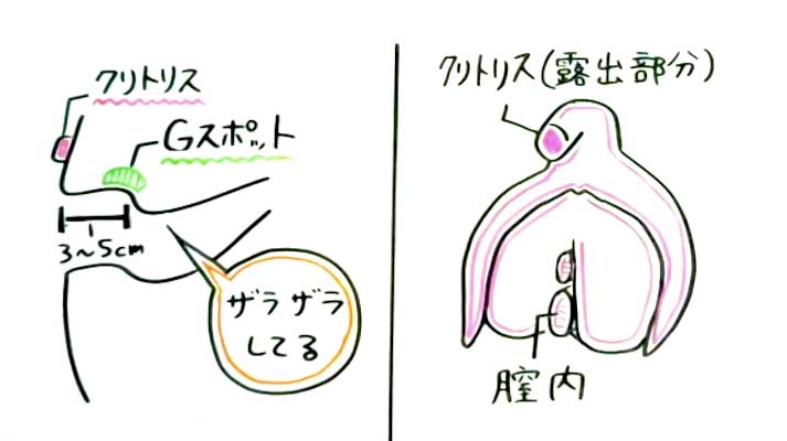 Gスポットがない」「どこにあるのか場所がわからない」感じる位置の探し方 | 【きもイク】気持ちよくイクカラダ