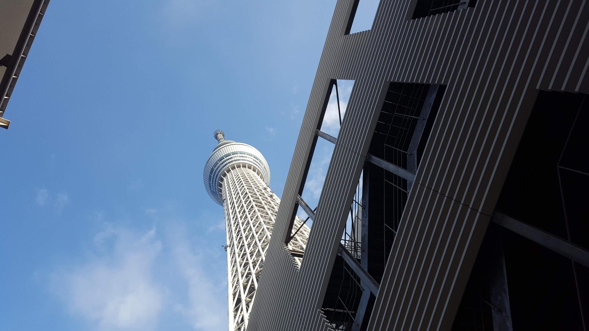 写真 : ハナミ坂ひろば