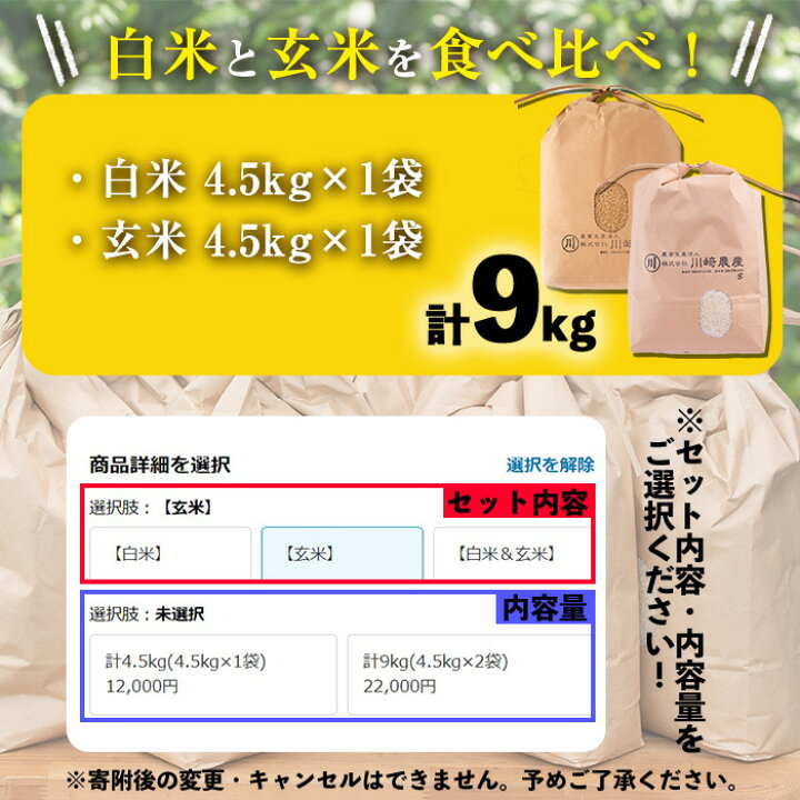 デカ盛りチャーハン1.4kg！ 川崎市『長崎ちゃんぽん（道生）』で「チャーハン大盛り」に挑戦してみた – ページ