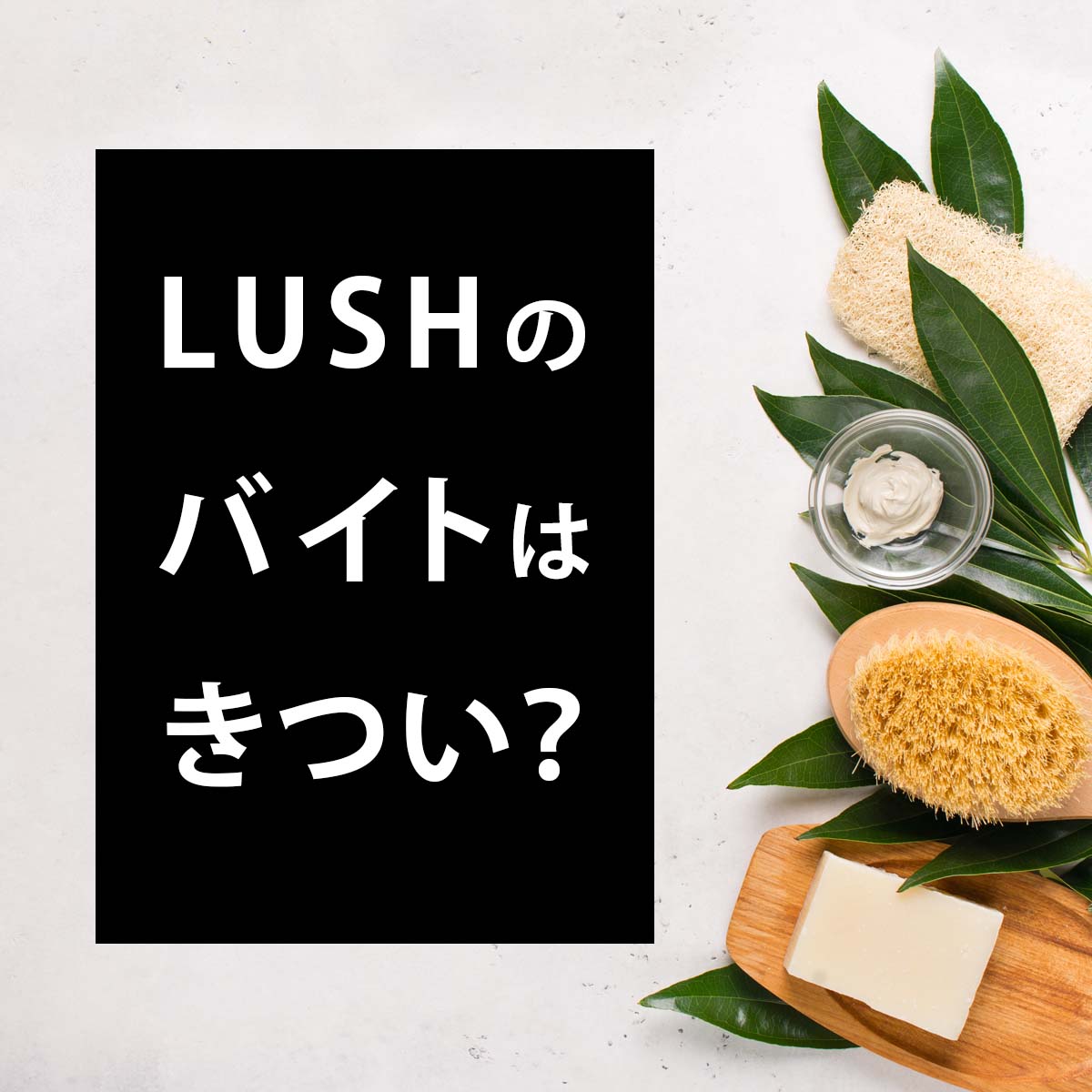 ラッシュ（LUSH） moyuk札幌店 (アルバイト)販売接客スタッフの募集詳細